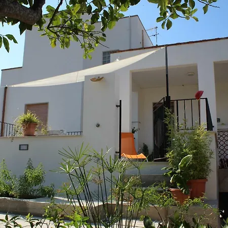 Il Mandorlo -
